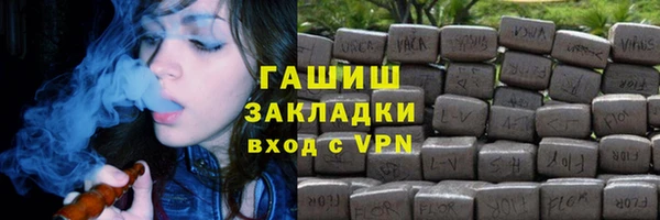 индика Аркадак