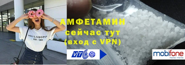 индика Аркадак