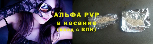 индика Аркадак