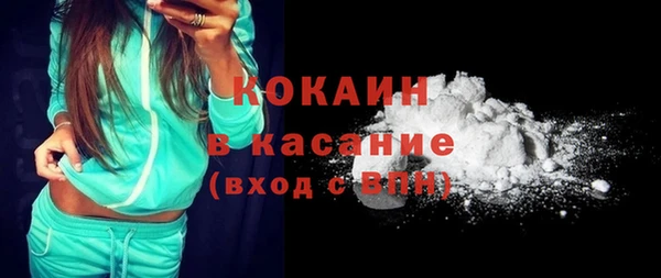 индика Аркадак