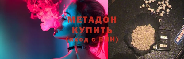 индика Аркадак
