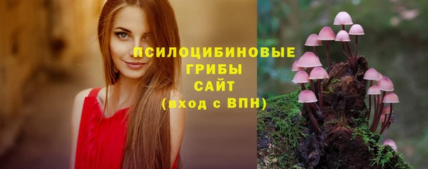 прущий лед Арсеньев