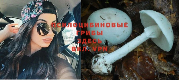 прущий лед Арсеньев