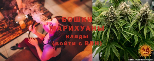 индика Аркадак