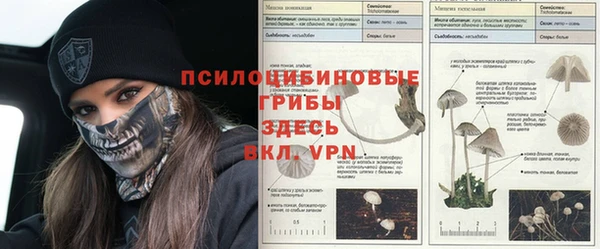 эйфоретик Балабаново
