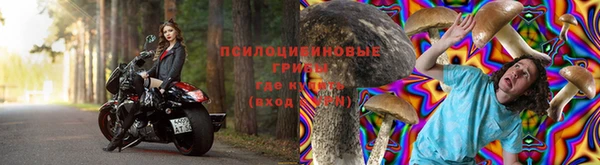 индика Аркадак